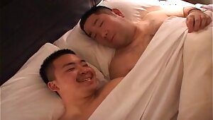 Asian hairy gay bears